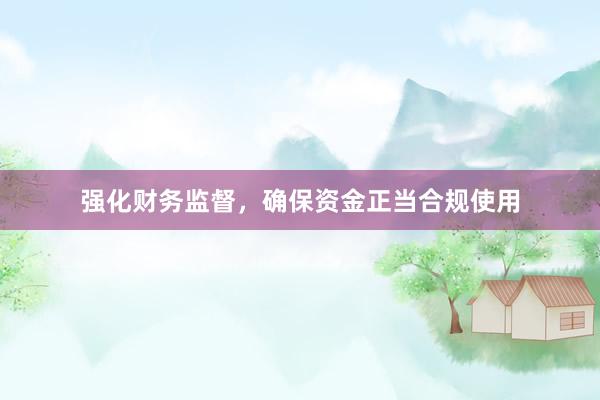强化财务监督，确保资金正当合规使用