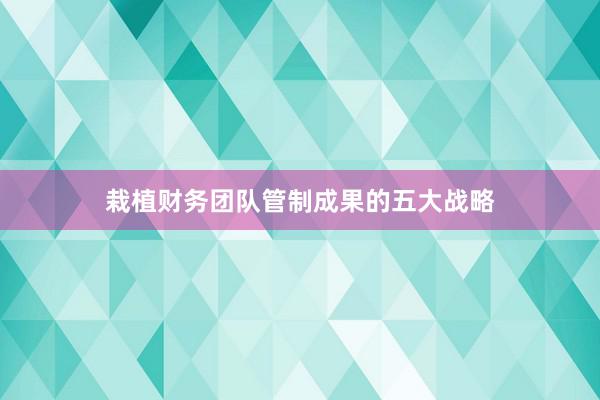 栽植财务团队管制成果的五大战略
