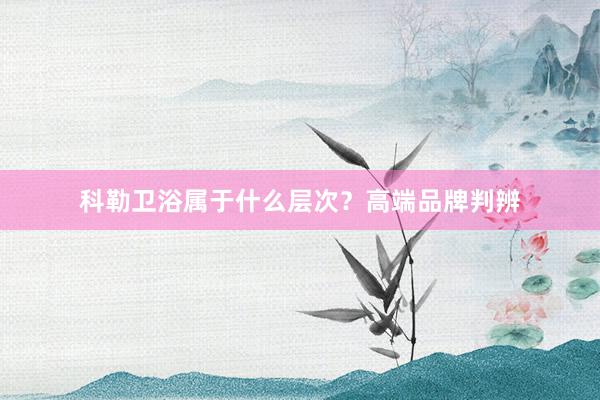 科勒卫浴属于什么层次？高端品牌判辨