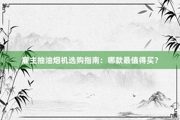 雇主抽油烟机选购指南：哪款最值得买？